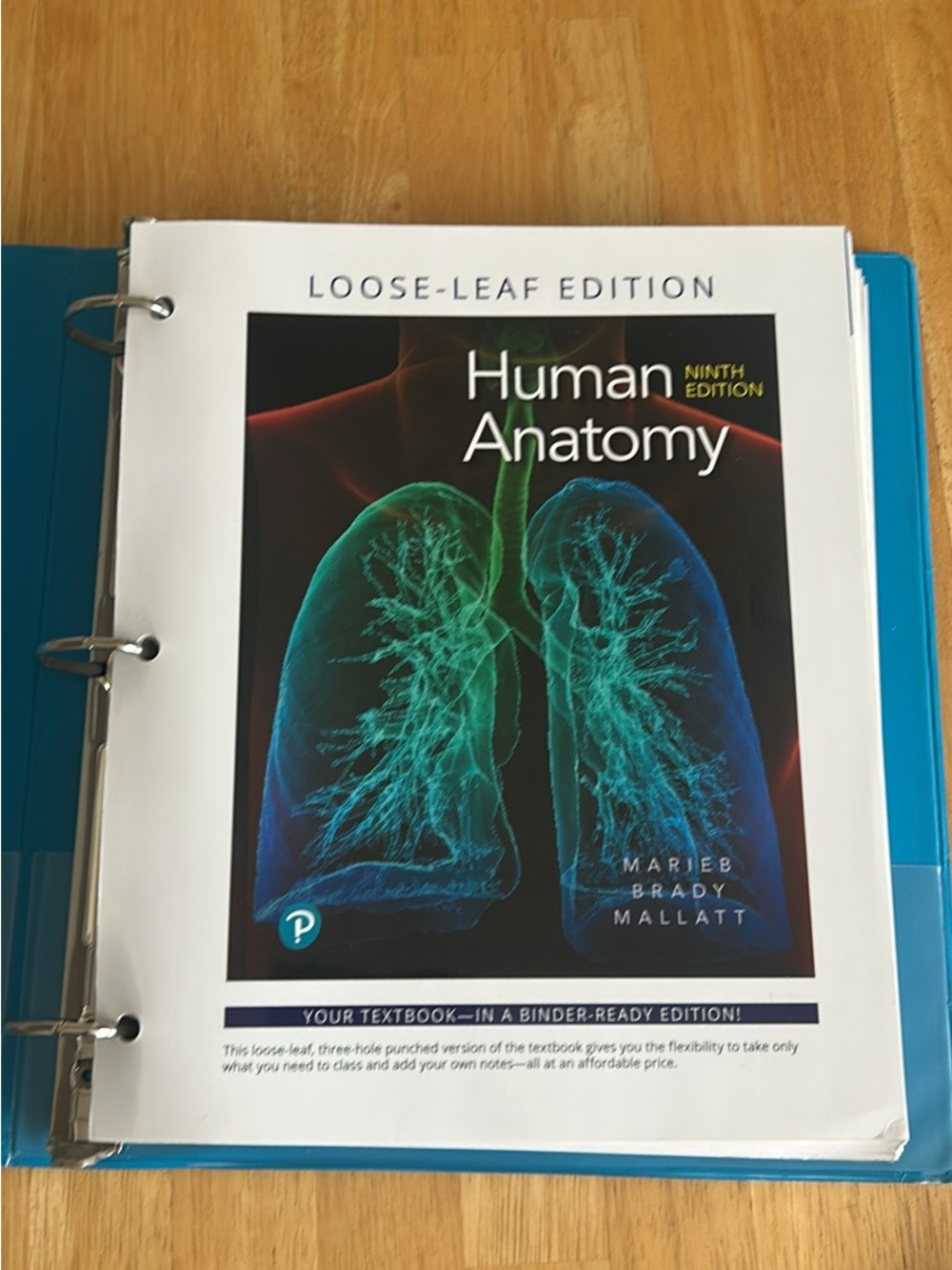 Human Anatomy Loose-Leaf Textbook - Blue Cover Art